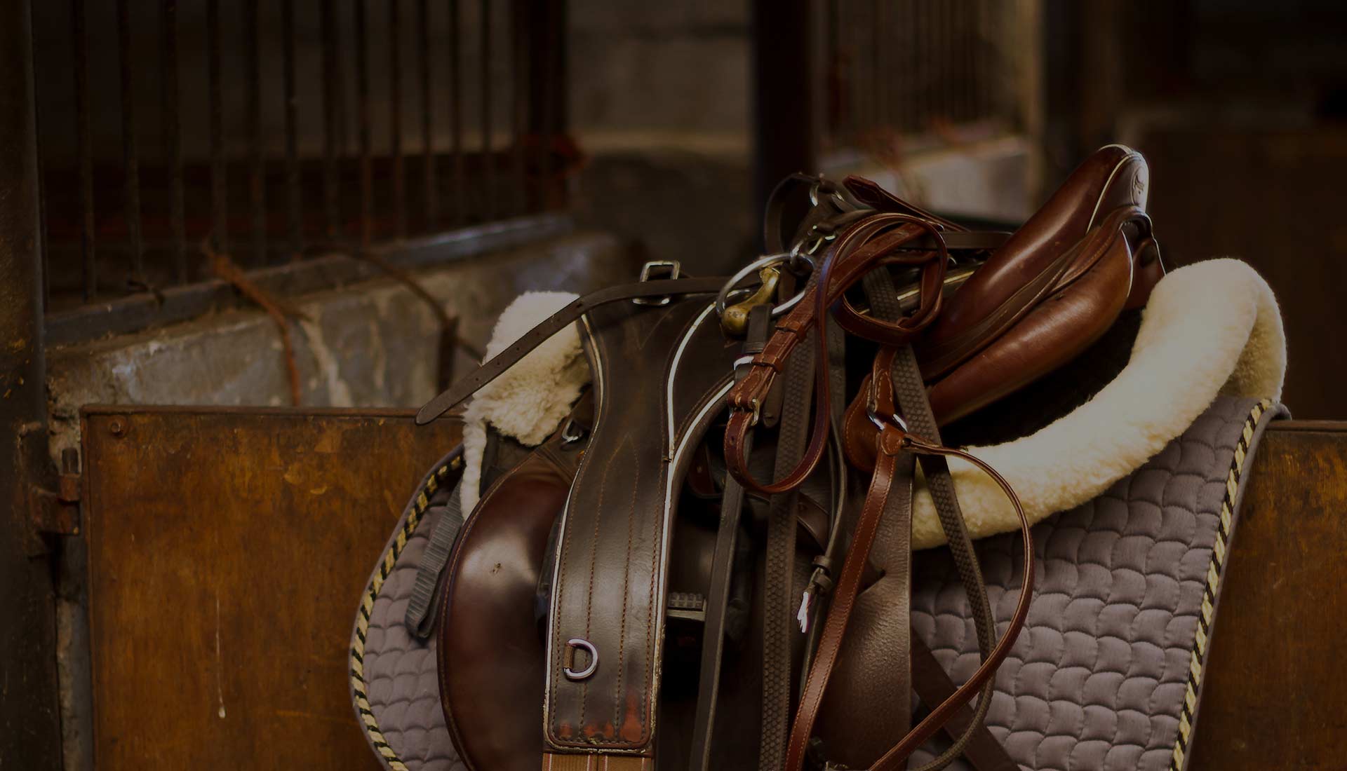 Selleria del Centro Ippico 3erre