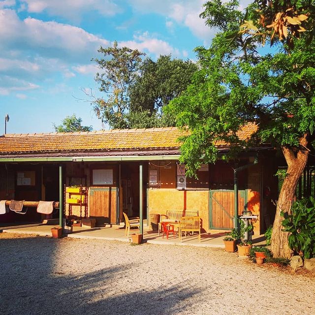 Club House