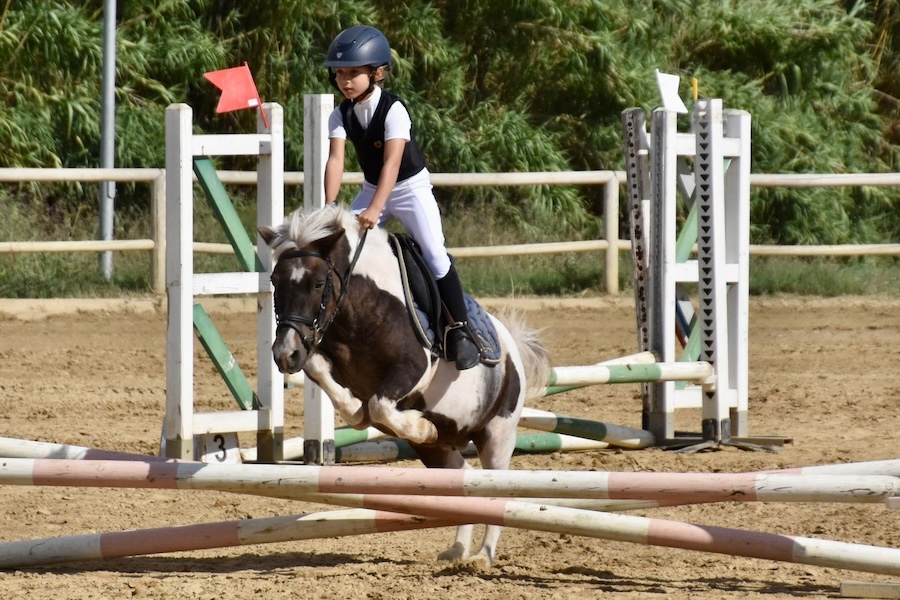 Lezione di equitazione al Centro Ippico 3erre