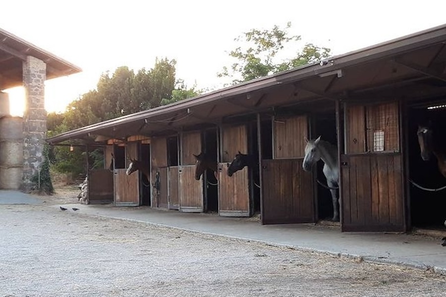 Scuderie e pensione cavalli del Centro Ippico 3erre