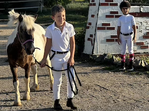 Scuola pony