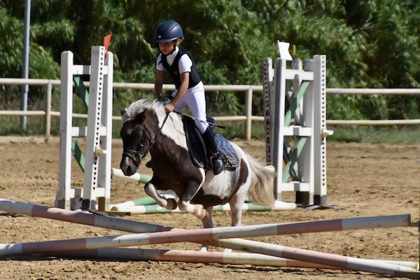 Scuola pony